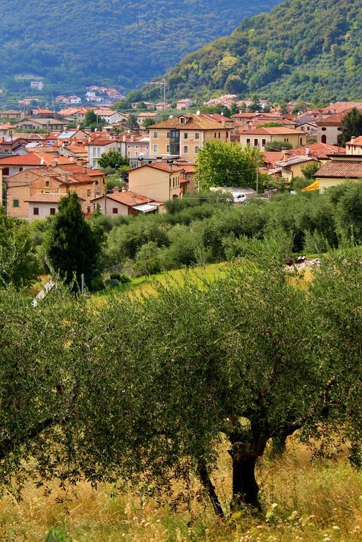 Hotel Miramonti Enoteca Pove del Grappa Exteriér fotografie